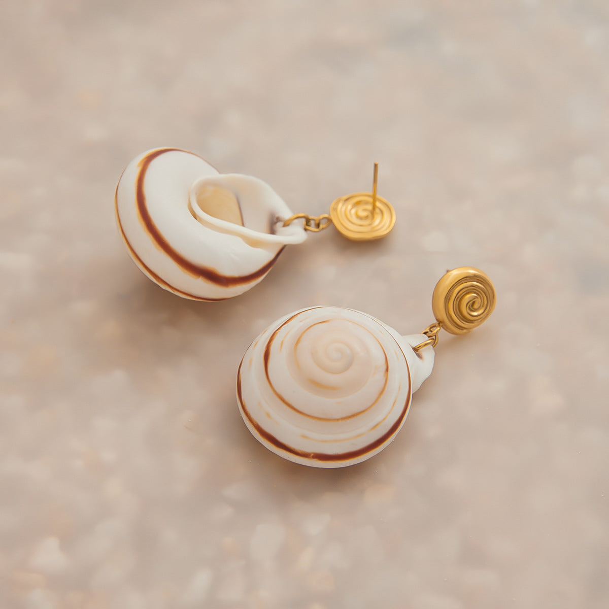 Seashell Stud Earrings – Vacation Style Titanium Steel Jewelry